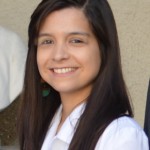 palominos